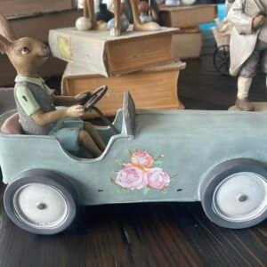 Bunny in Car